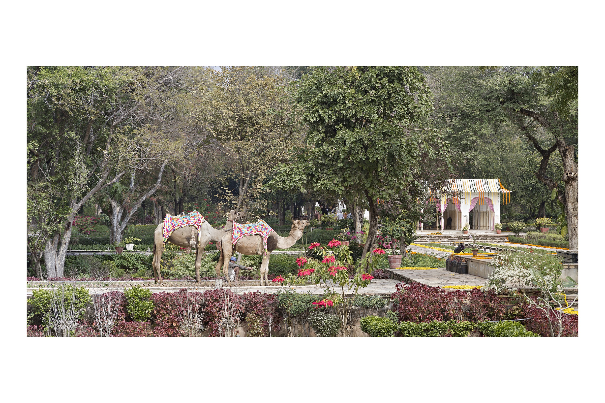 Image from Events - Samode